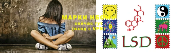 PSILOCYBIN Протвино